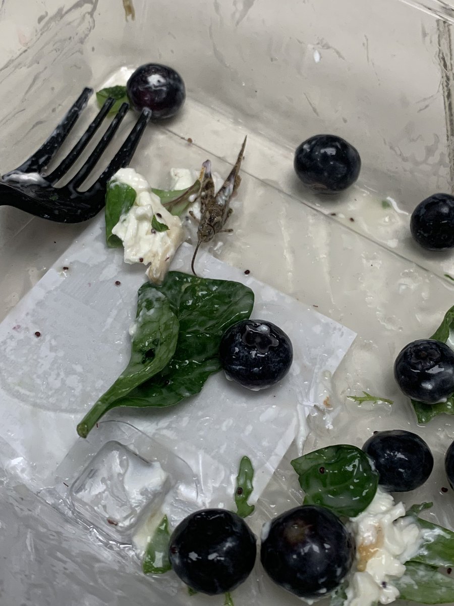 Flips Nation tweet media