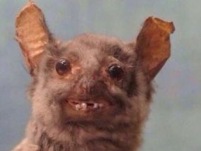 carolinecone30's tweet photo. how it feels to try and get tickets to the Eras Tour https://t.co/PIzKTQNpBo