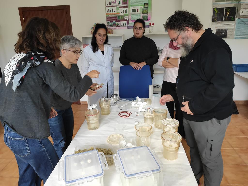 mbg_csic's tweet photo. ▶️ Continuamos con segundo día do curso "Cultivo in vitro de plantas" https://t.co/WWHSs8n5tv