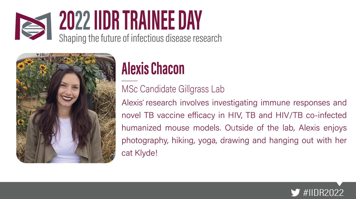 McMaster IIDR tweet media