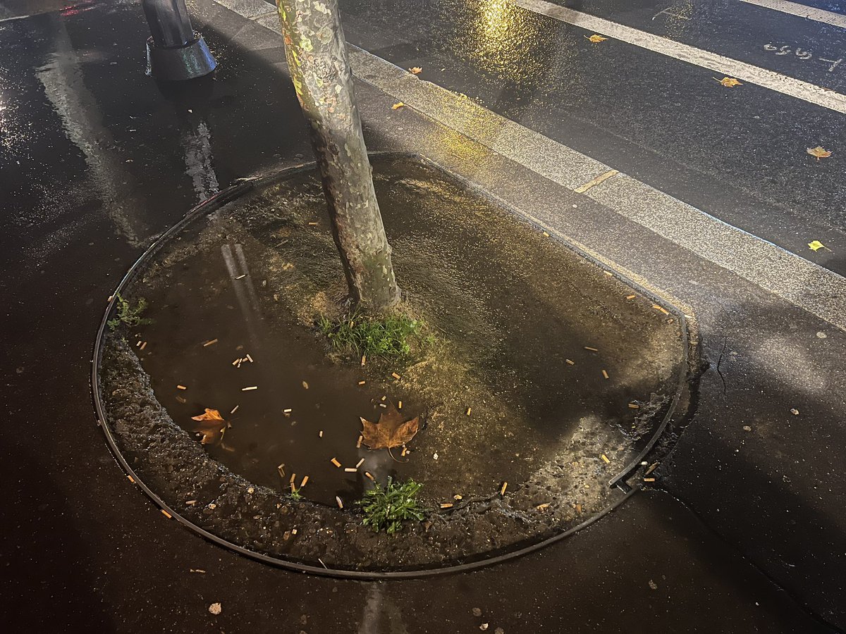 Quentin Divernois tweet media