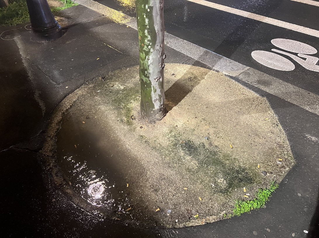 Quentin Divernois tweet media