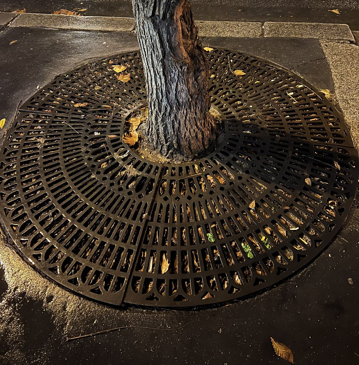 Quentin Divernois tweet media