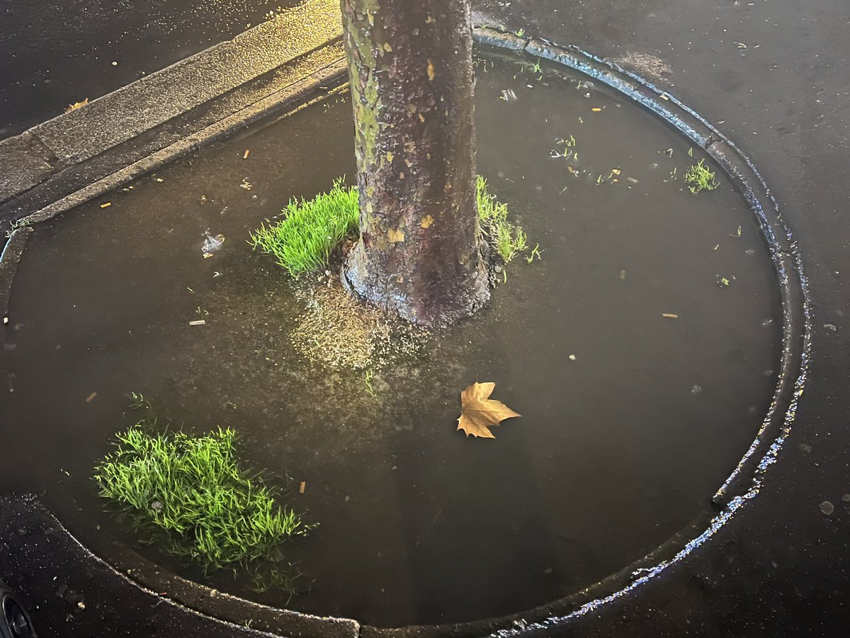 Quentin Divernois tweet media