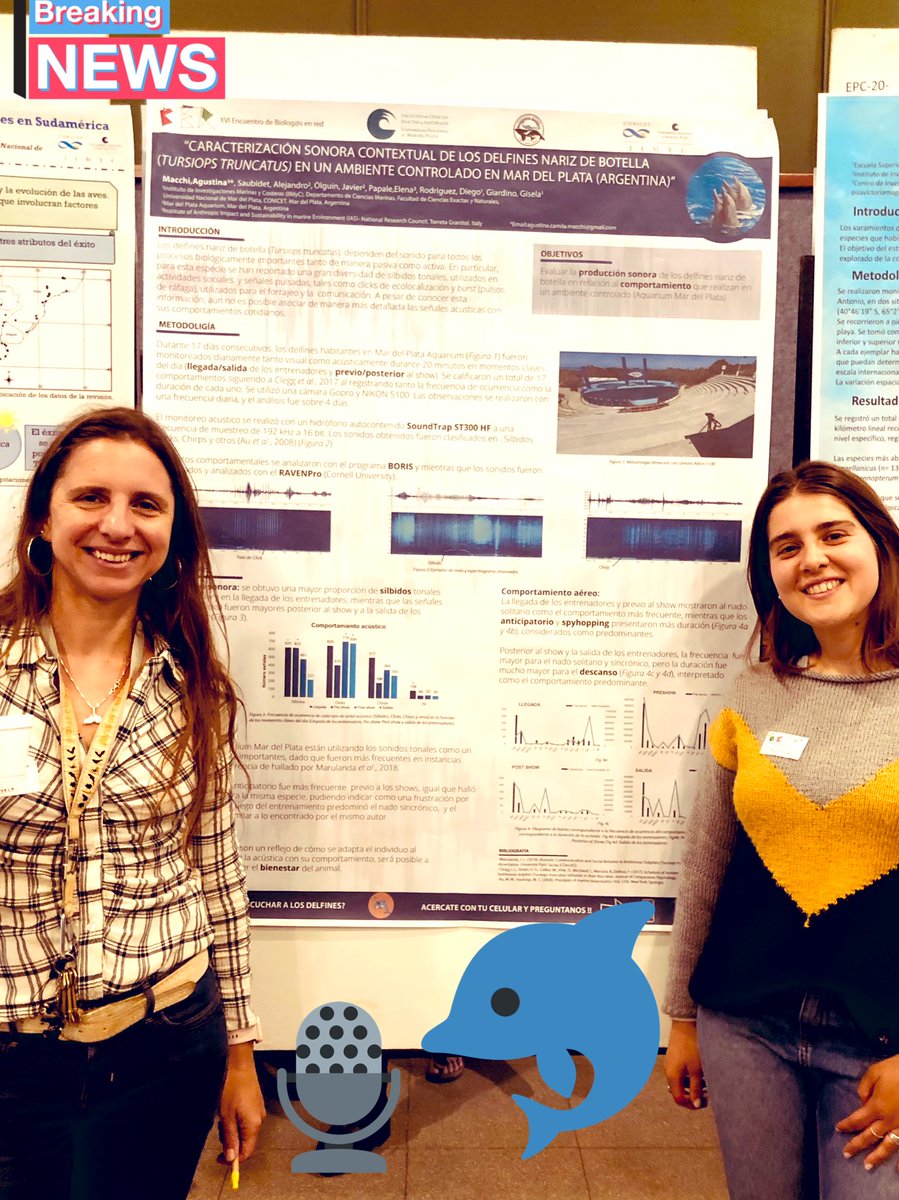 travesiasdelobo's tweet photo. Un orgullo! La primera presentación de mi primera tesista argentina!! @MacchiAgus #delfines #acustica @fceyn_unmdp @BECMM_UNMdP @BIOLOGOSENRED @Aquarium_MDP https://t.co/RvgH3OV2kQ