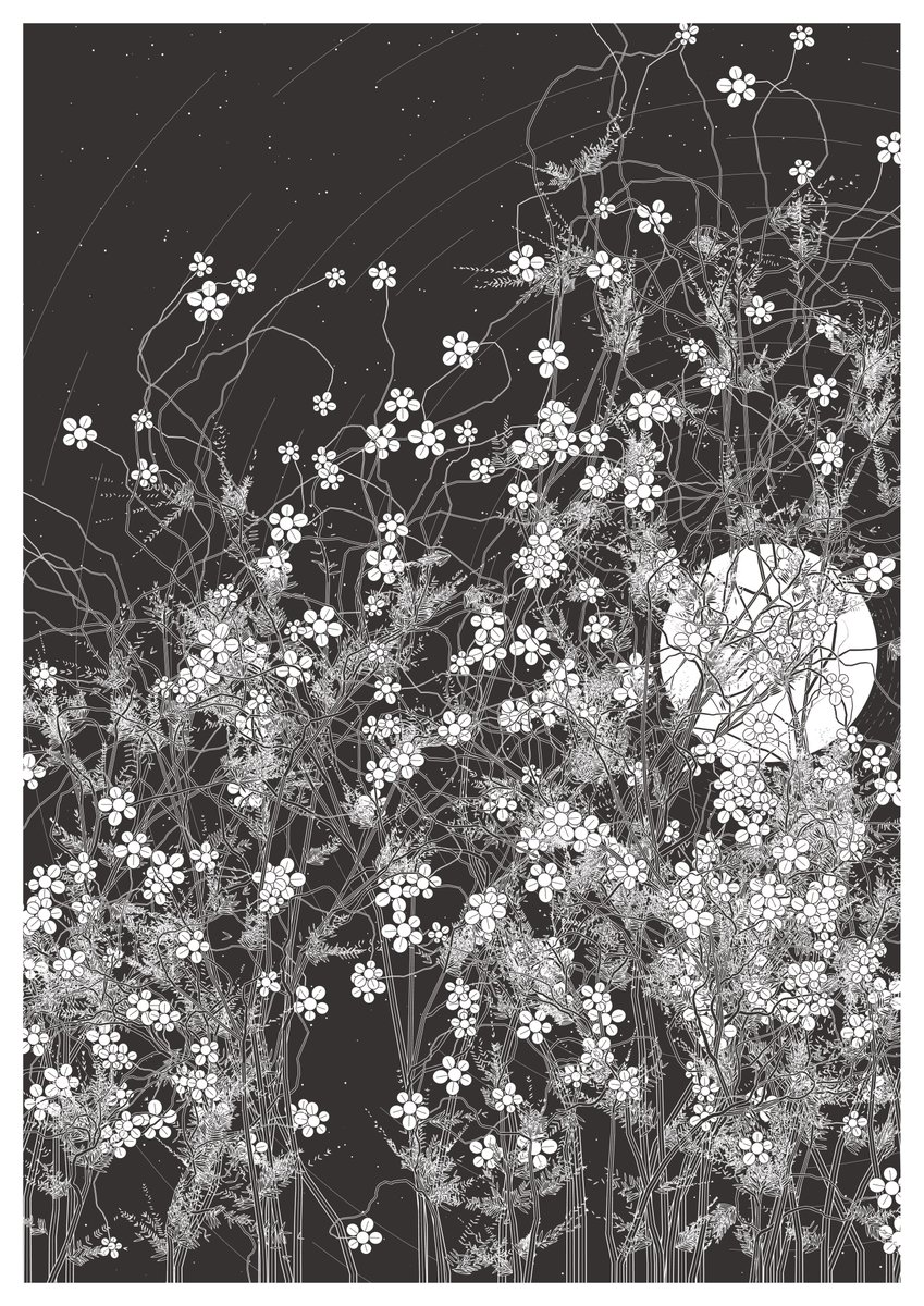 Today’s 🖼
-
#svg #generativeart #nature