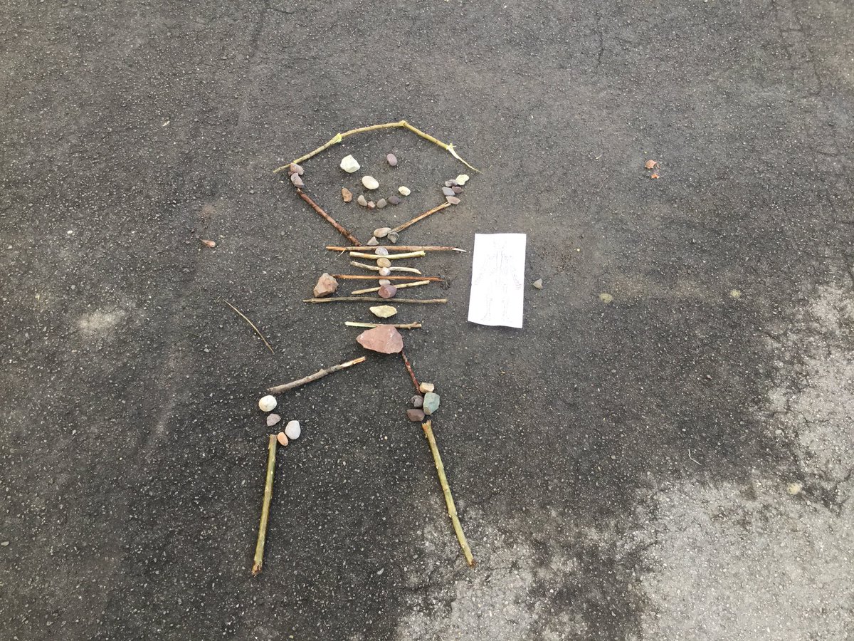 hillviewprimary's tweet photo. Building skeletons outside #year3science #scienceathillview https://t.co/jPvLSbG2k3