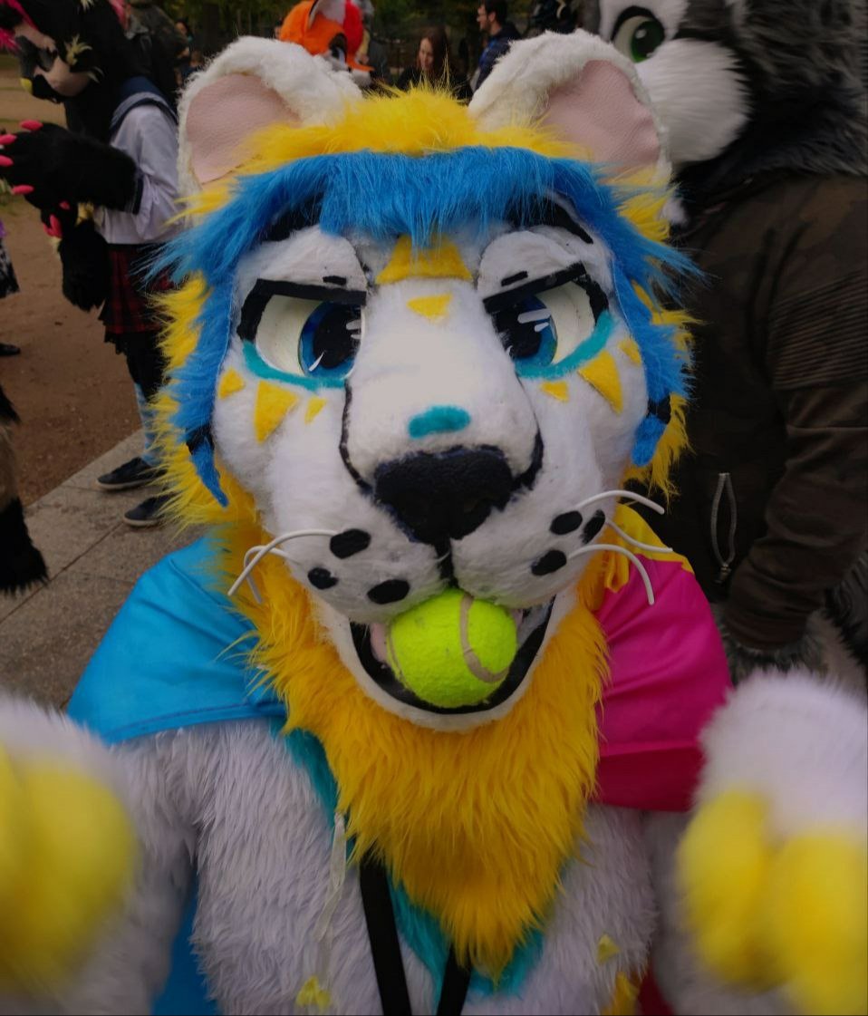 punky_the_rat's tweet photo. Y
Thanks you very mutch for this incredible furwalk :)♡ https://t.co/cTbtnrn29K