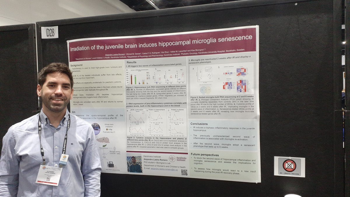 LilyKeane's tweet photo. Come check out @Alebetis95 poster at #sfn22! Ale is studying- the irridation of the juvenile brain induces hippocampal micoglia senescence! https://t.co/7bG7dTeHir