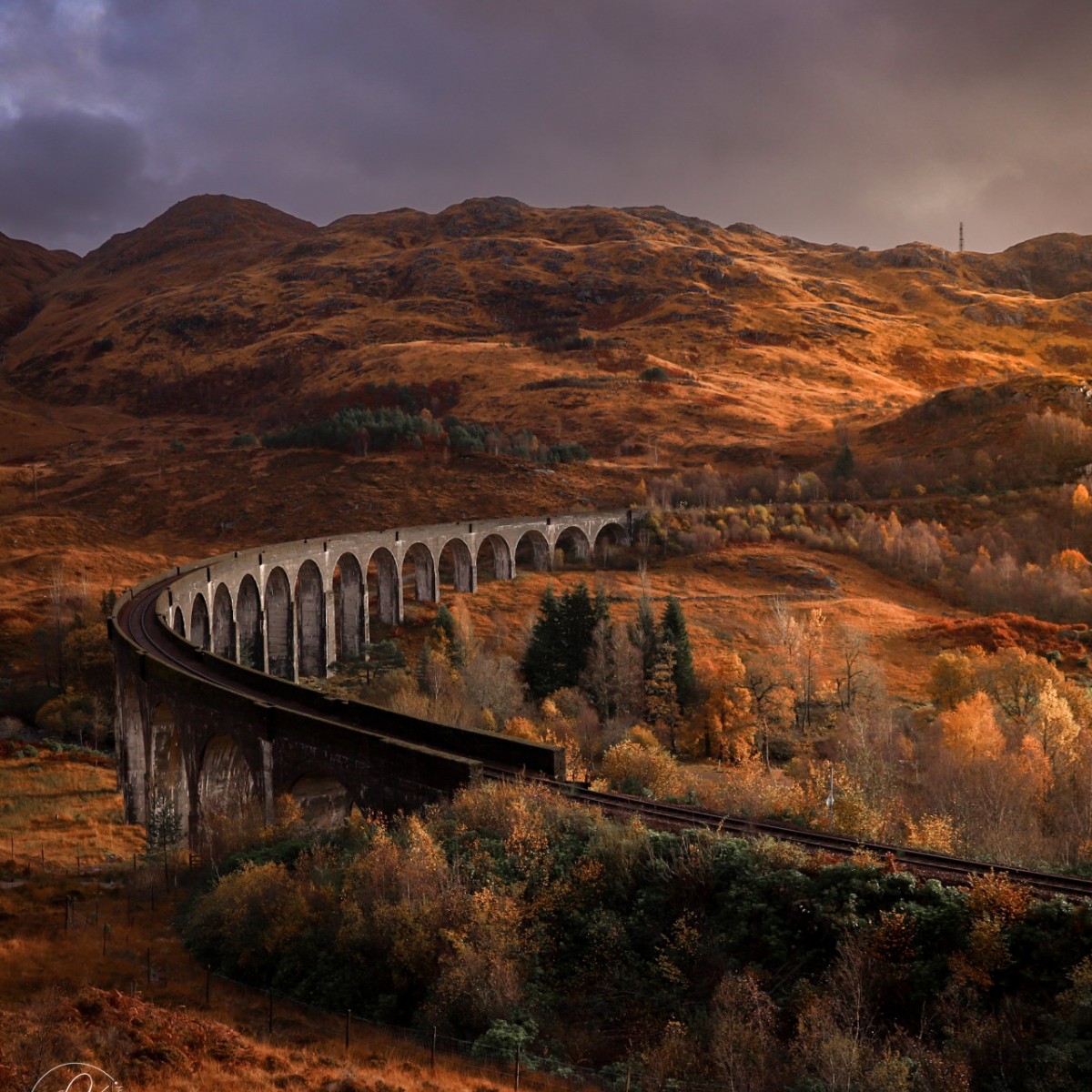 Scotland's tweet photo. How beautiful is Autumn in Scotland? 😍🍁🍂 

#ScotlandIsNow #VisitScotland #WoodlandWalks #TheHermitageDunkeld #ScottishHighlands #Perthshire https://t.co/hK12yzoFvJ