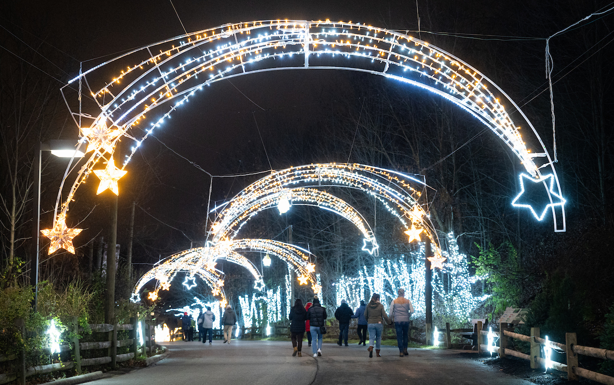 Cleveland Metroparks Zoo on Twitter "The stage is set! 