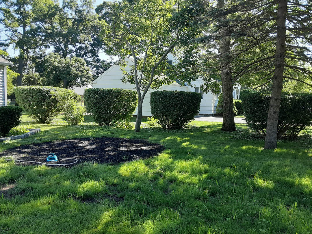 Make 4 Season Lawn Maintenance your first choice for any of your Yard Maintenance needs. Call us today at (631) 987-5939 for more information! #YardMaintenance bit.ly/2OBWhZP