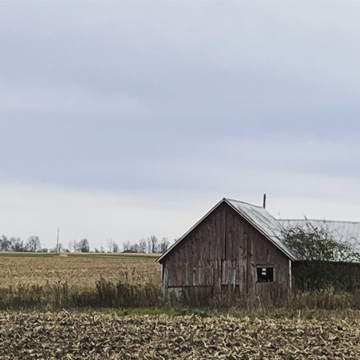 countytshirts's tweet image. Whatever the weather, I love the beauty all around.  Love my daily ‘commute’!
.
.
.
#novemberdays #pec #princeedwardcounty #countyup