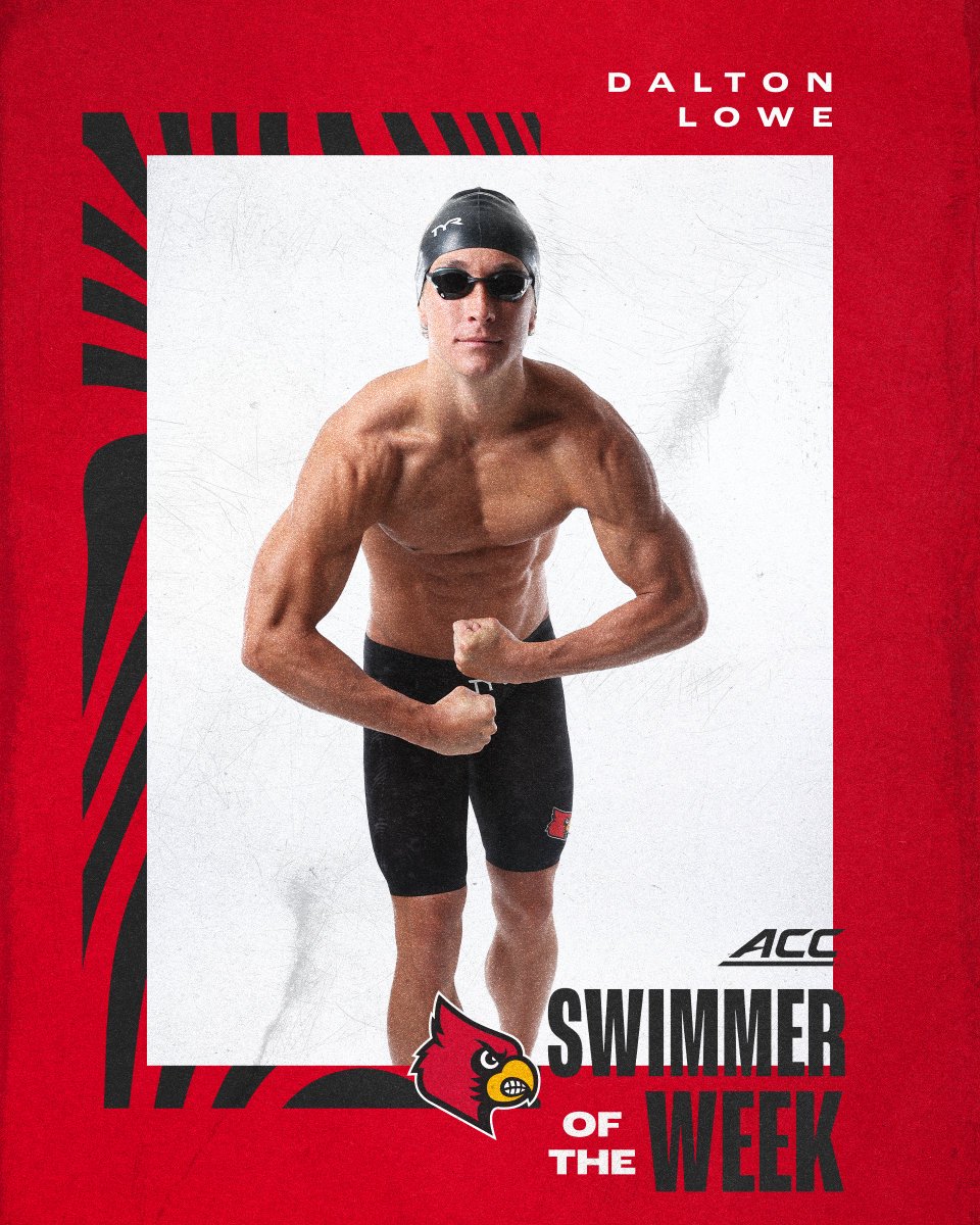 Louisville Swim & Dive tweet media