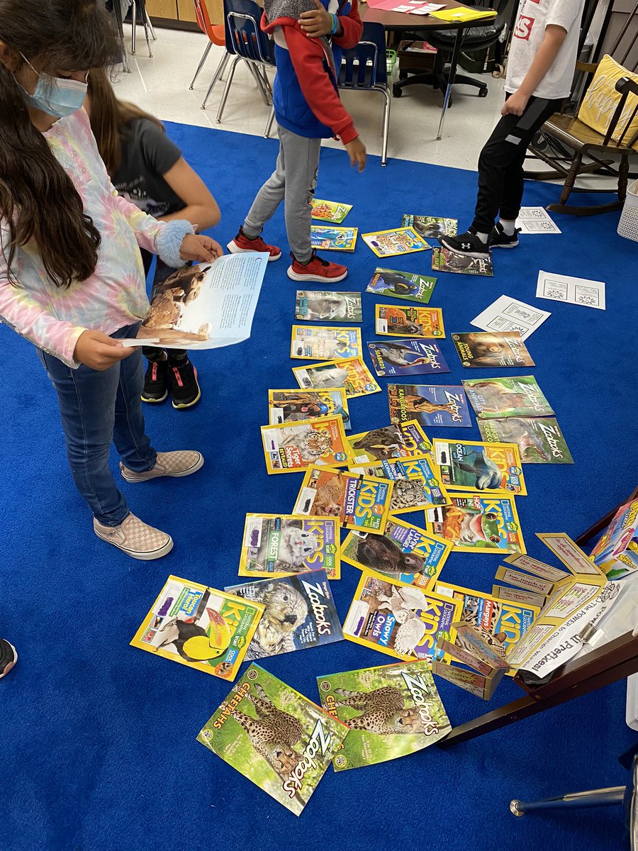 Stauffer_CES's tweet photo. Our informational writing unit always starts with some awesome research on our favorite animals!! Shout out to @NatGeo for the fabulous magazines!! #3rdGrade #ScienceAndLiteracy #AllAboutAnimals https://t.co/O69zY2tVYG