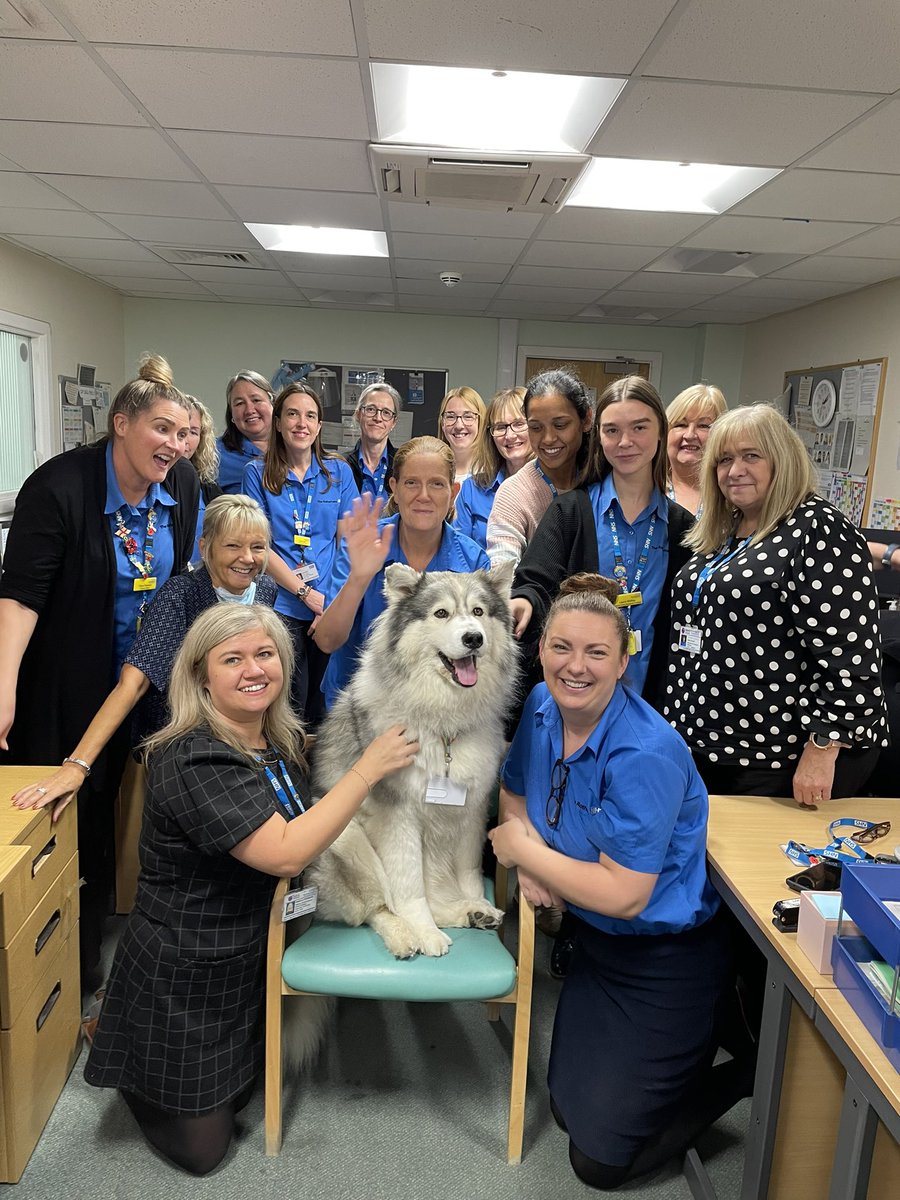rachbell17's tweet photo. Look who visited radiology today, Thunder the therapy dog. Thank you thunder you  put a smile on our faces @CssTrft https://t.co/fxFVVFkcku