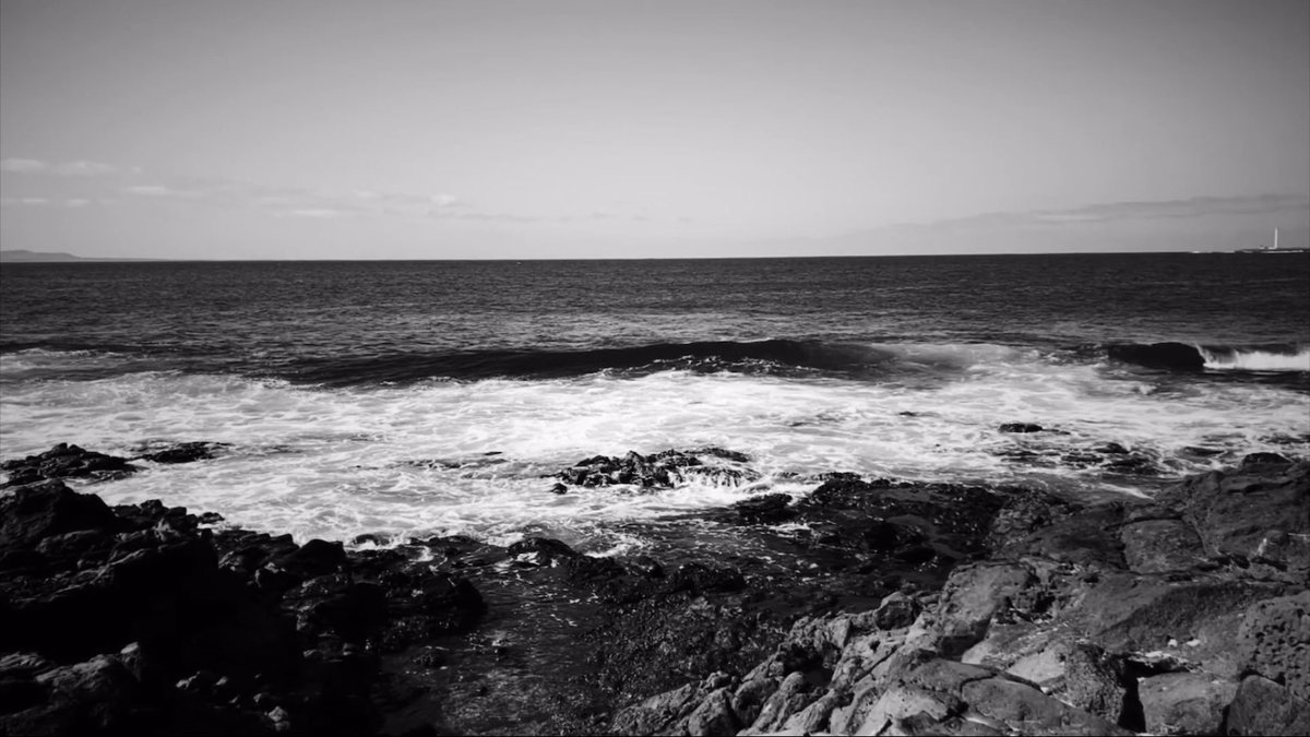 Experiment 637 tweet media