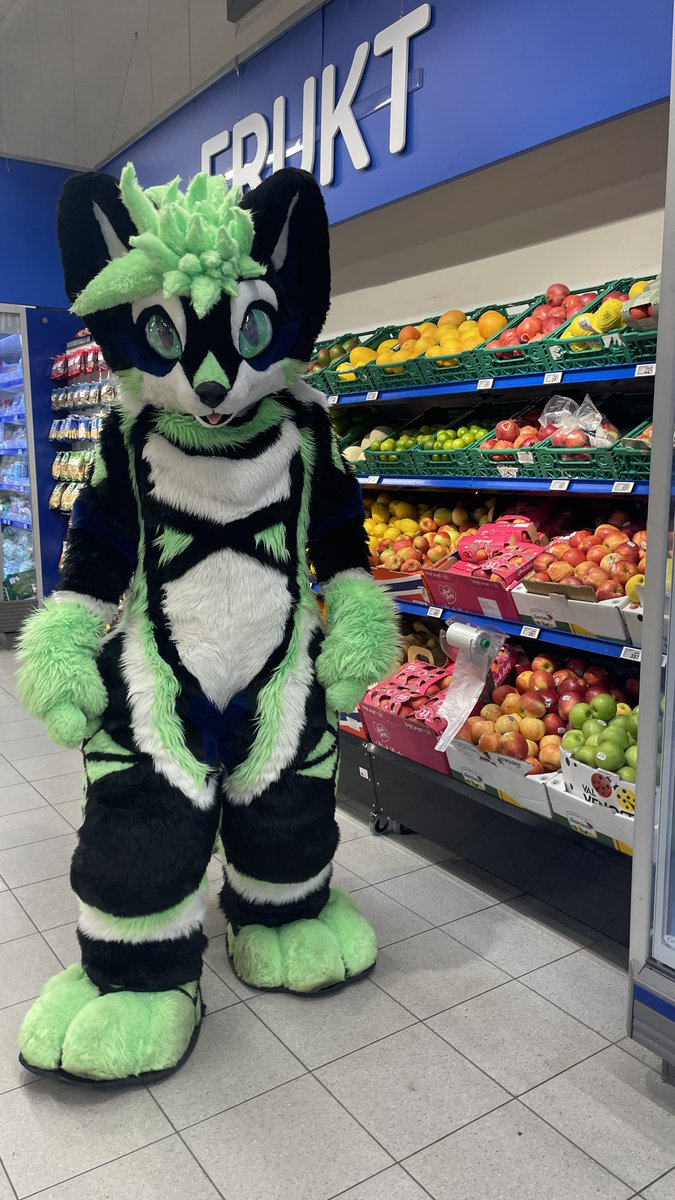 VinFurr's tweet photo. Someones going grocery shopping... where you ask? At one of the @REMA1000_Norge Rema 1000 stores!
#furry #fursuit #shopping #grocery #store #fursuiteveryday #rema #rema1000 #fruit #grandiosa #pizza #pizzer #vegetables https://t.co/SbOh05mktH
