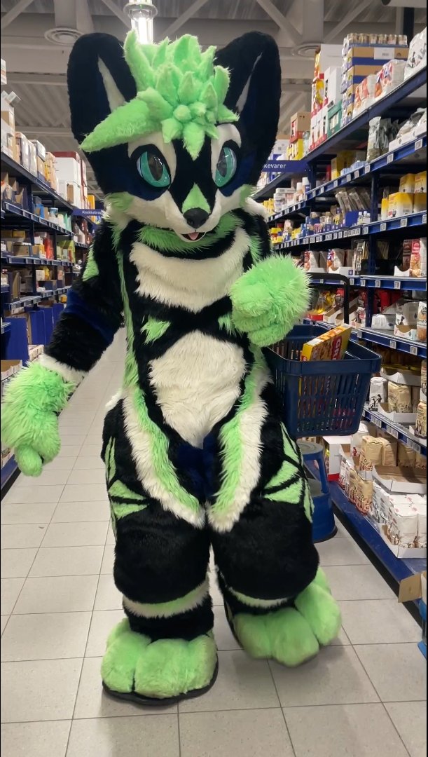 VinFurr's tweet photo. Someones going grocery shopping... where you ask? At one of the @REMA1000_Norge Rema 1000 stores!
#furry #fursuit #shopping #grocery #store #fursuiteveryday #rema #rema1000 #fruit #grandiosa #pizza #pizzer #vegetables https://t.co/SbOh05mktH