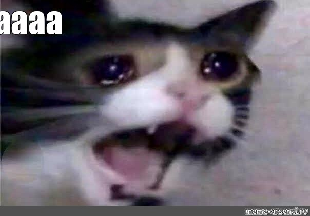 azuly_blue's tweet photo. ruSSIAAAAAAAAAAAAAAAAAAAAAAAAAAAAa

world war III é isto https://t.co/erschUHmnP