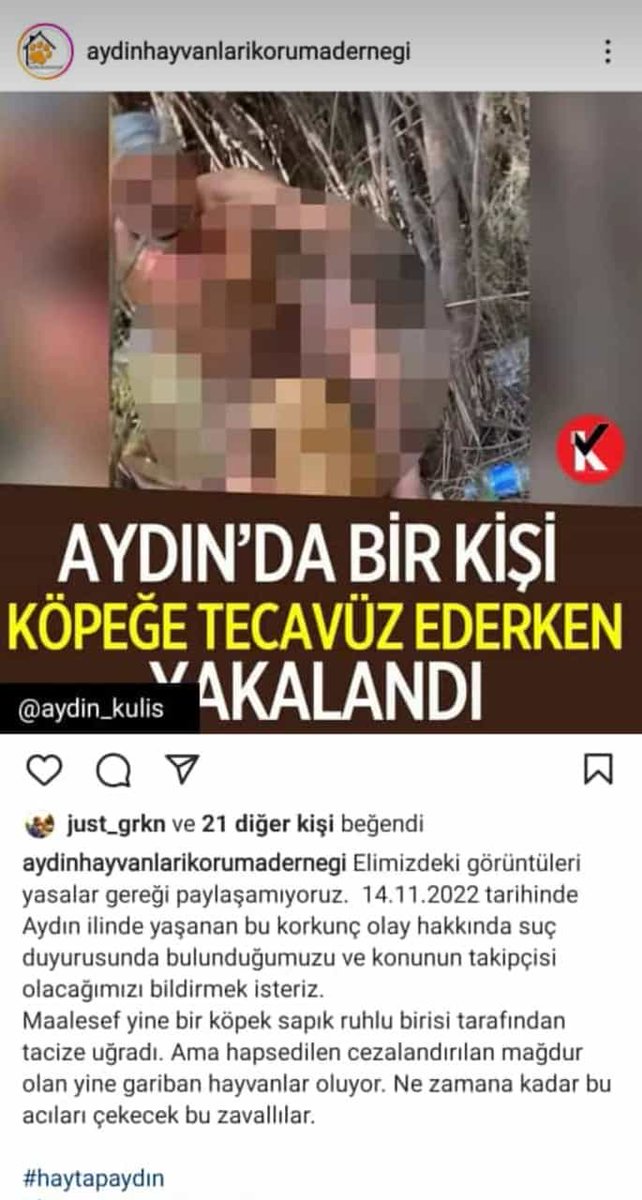senay_tekinbas's tweet photo. @HaberturkTV @fatihaltayli @Murat__Pinar Başıboş insanlara da çözüm bulun lütfen. Dün Aydında bir adam köpeğe tecavüz etti.sahipli bir köpeğe!!! https://t.co/t0sJdcNhQu