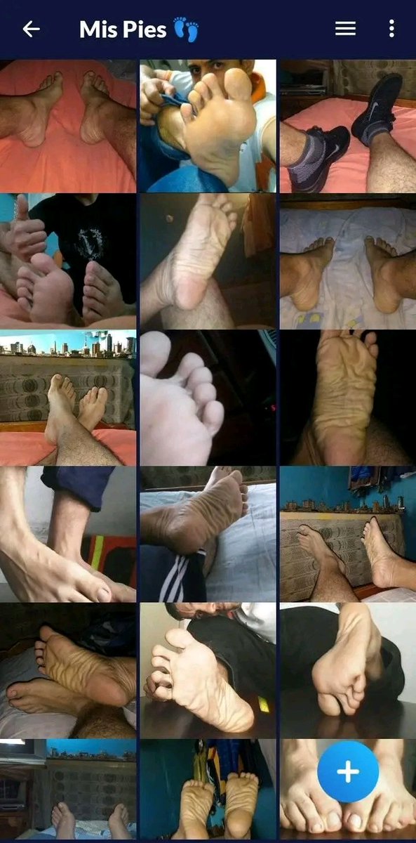 Pana Pies tweet media