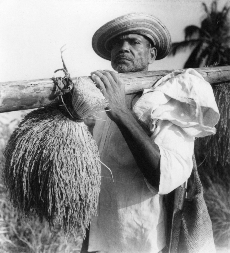 Banrepcultural tweet media