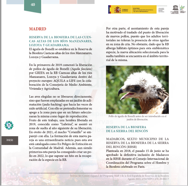 El boletín número 34 del Comité Español del Programa MaB y de la Red Española de Reservas de la Biosfera difunde el asentamiento del águila de Bonelli en la Reserva de la Biosfera de las Cuencas Altas de los ríos Manzanares, Lozoya y Guadarrama (Madrid) rerb.oapn.es/images/Boletin…