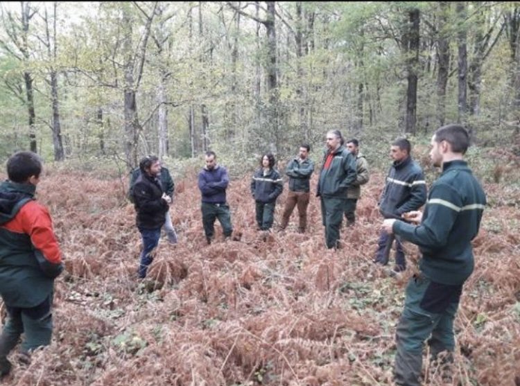 BOIS_LANDRY's tweet photo. Magnifique message partagé sur LinkedIn 🙏 merci à Denis Feuillerat de l’@ONF_Officiel
-
Au plaisir d’accueillir vos collègues en 2023 🌳😀🌳 pour cette formation pratique à l’équilibre forêt-ongulés
#ONF #equilibreforetgibier #foretprivee #foretpublique #traqueaffut https://t.co/GUkb8RItpc