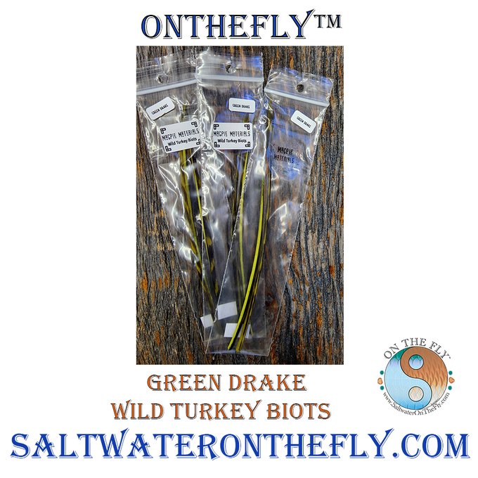 Saltwater on the Fly tweet media
