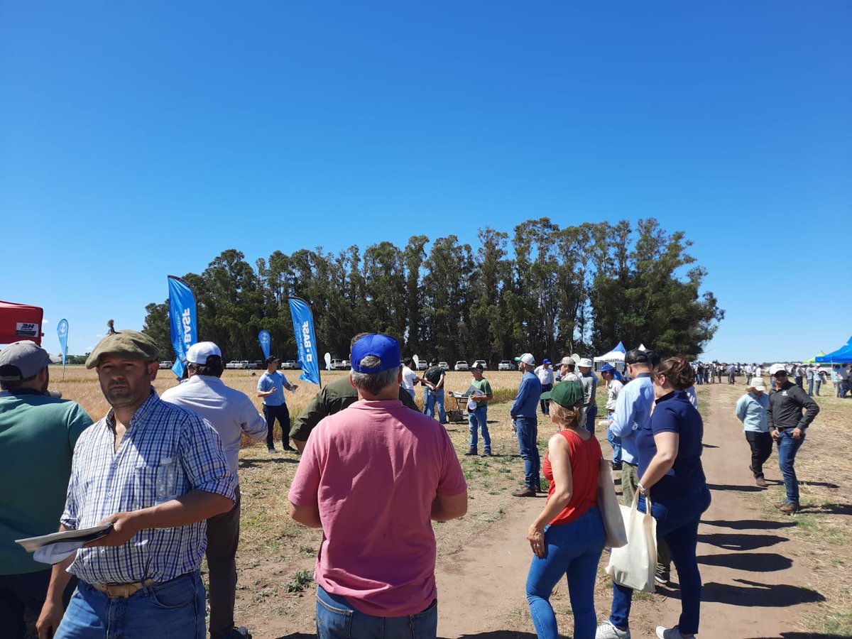 BASF Agro Argentina tweet media