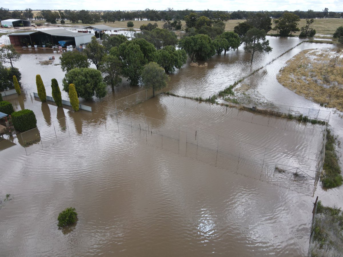 Dave_Newbigging tweet media