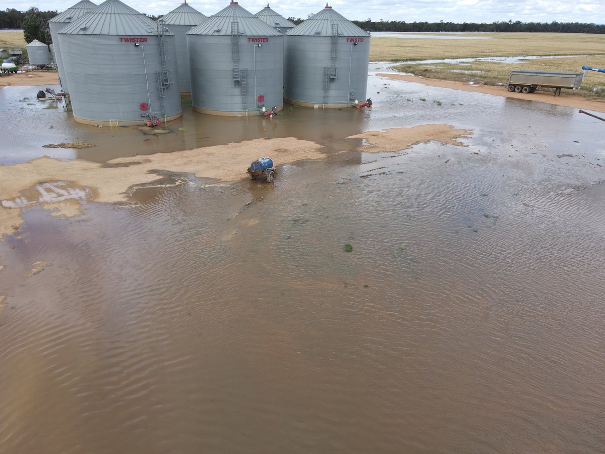 Dave_Newbigging tweet media