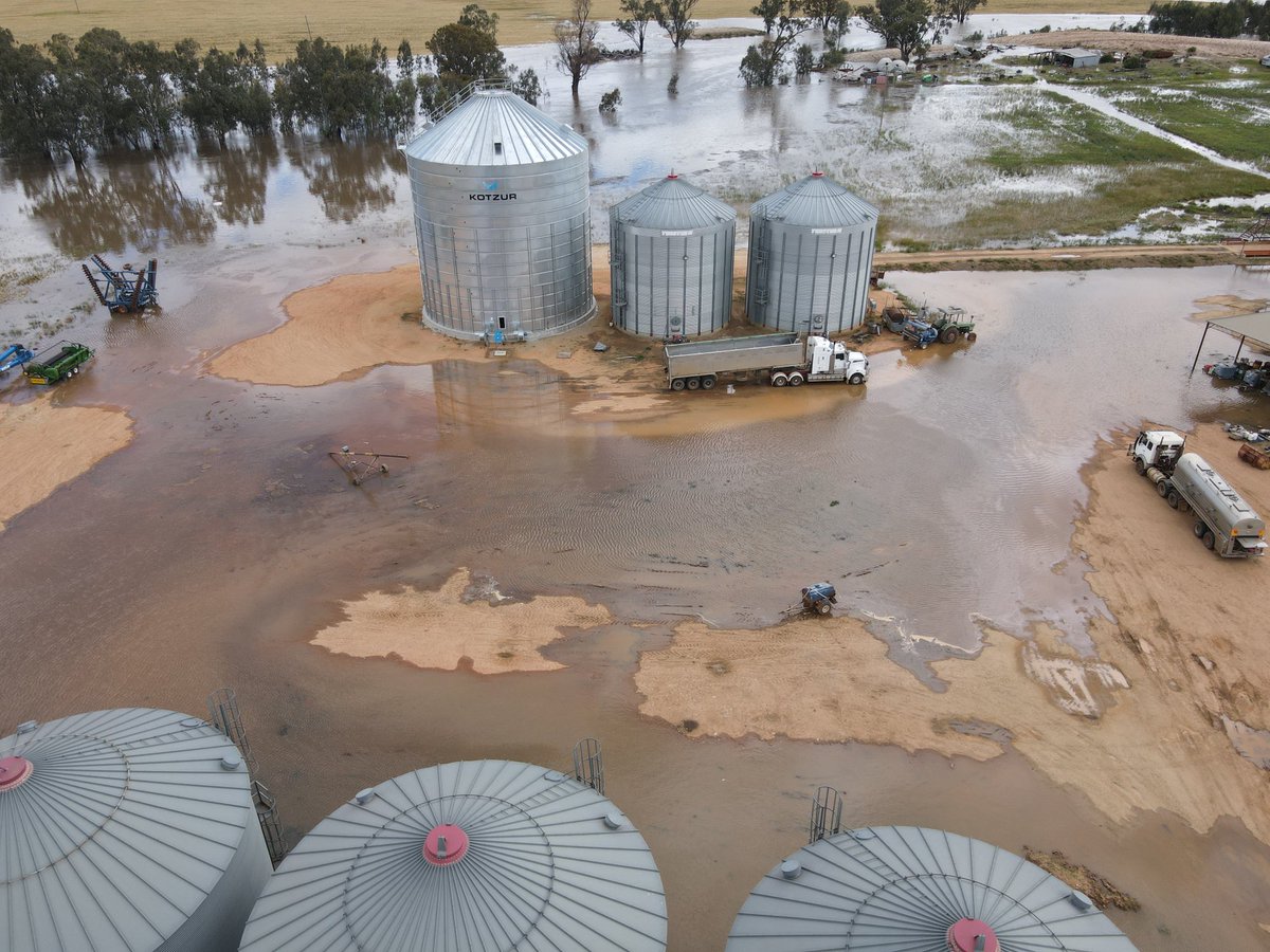 Dave_Newbigging tweet media