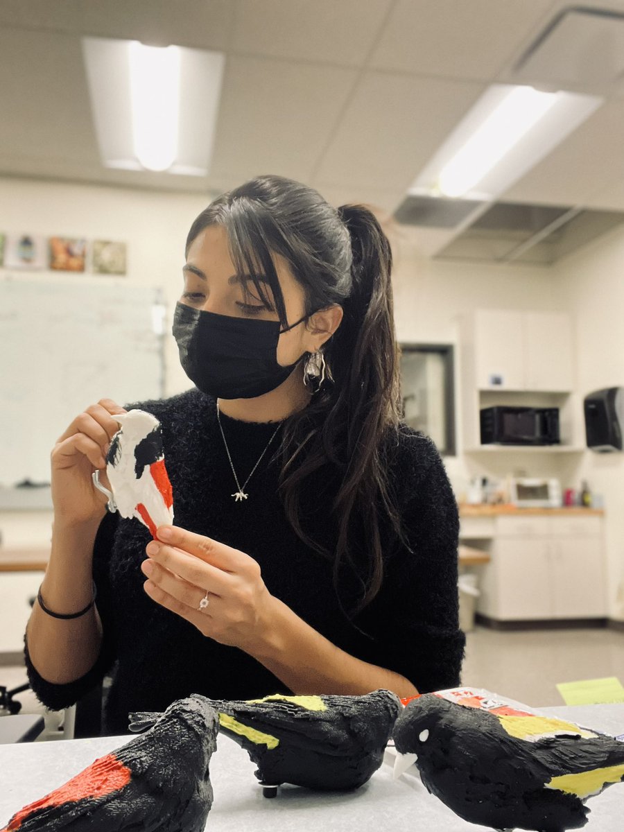 Maria Isabel Castaño tweet media