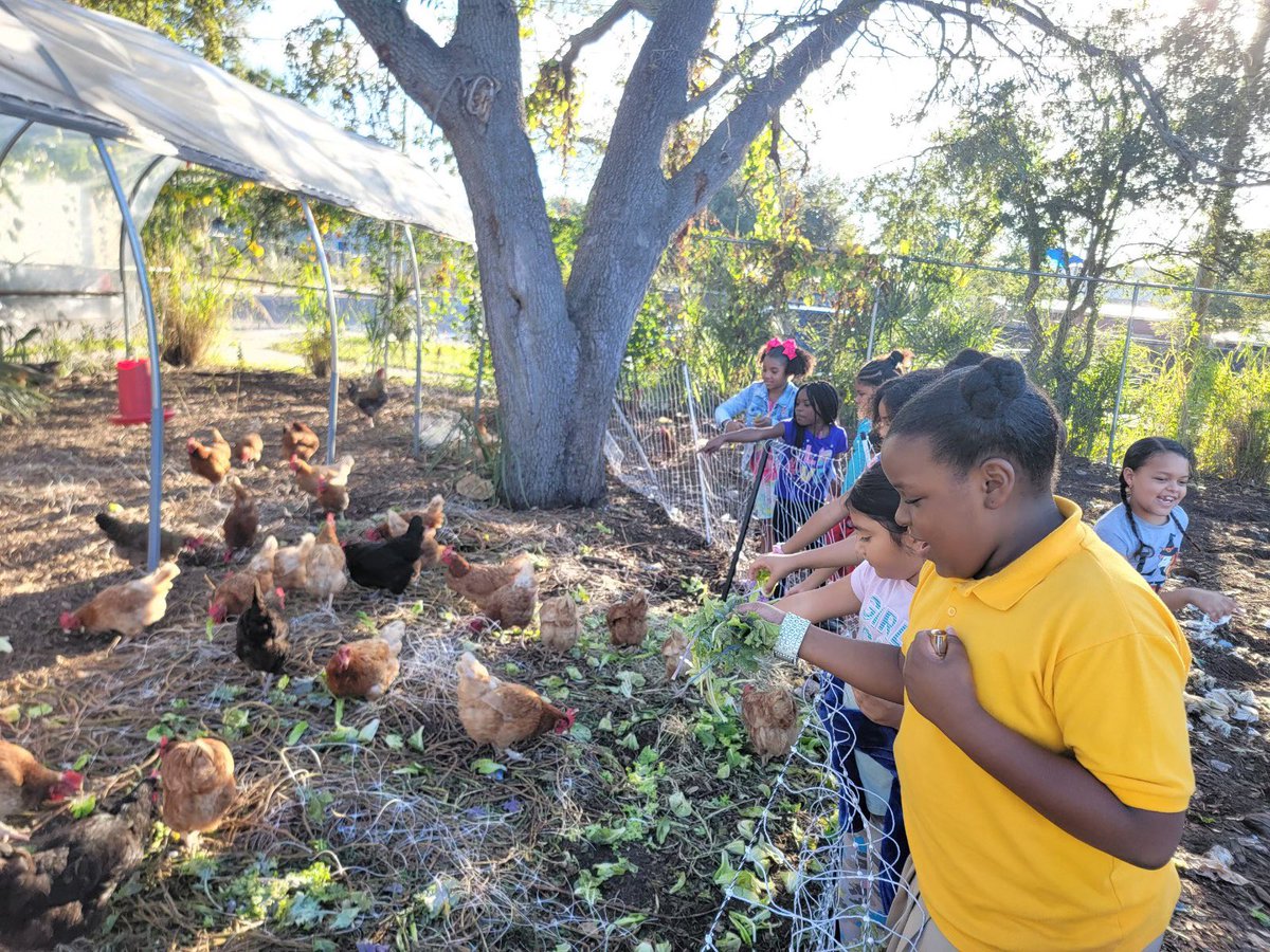 BTW_HCPS's tweet photo. Our third grade Hornets are receiving hands on experience at Meacham Urban Farm! Thank you for your partnership! 💜🐝💛 #buildingourcommUNITY https://t.co/4WJCDIEhl1