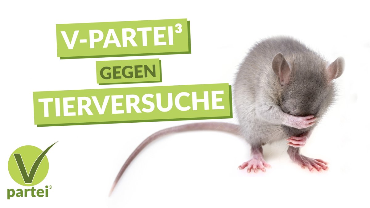 _VPartei_'s tweet photo. Themenwoche #Tierversuche bei der #vpartei
1/2 #Tierversuche sind ein steuerfinanziertes Milliardengeschäft für Züchter*innen,
Händler*innen, Zuliefernde von Futter, Käfigen + Zubehör, Wissenschaftler*innen & Institute.
#tierversuchestoppen #tierversuchsfrei #endanimaltesting https://t.co/wA18fGcuyf
