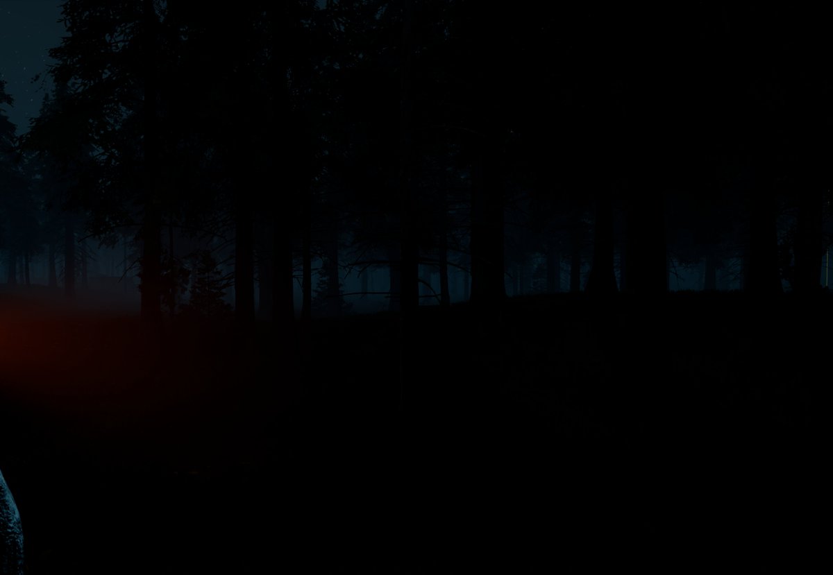totemwarestudio's tweet photo. Quick update: The team is still working on the characters, animations and models. While the programmers are working on an AI👀We'll be back at the end of November with new screenshots 🫶

#AtNight #HorrorGame https://t.co/Gw2BRxpeBs