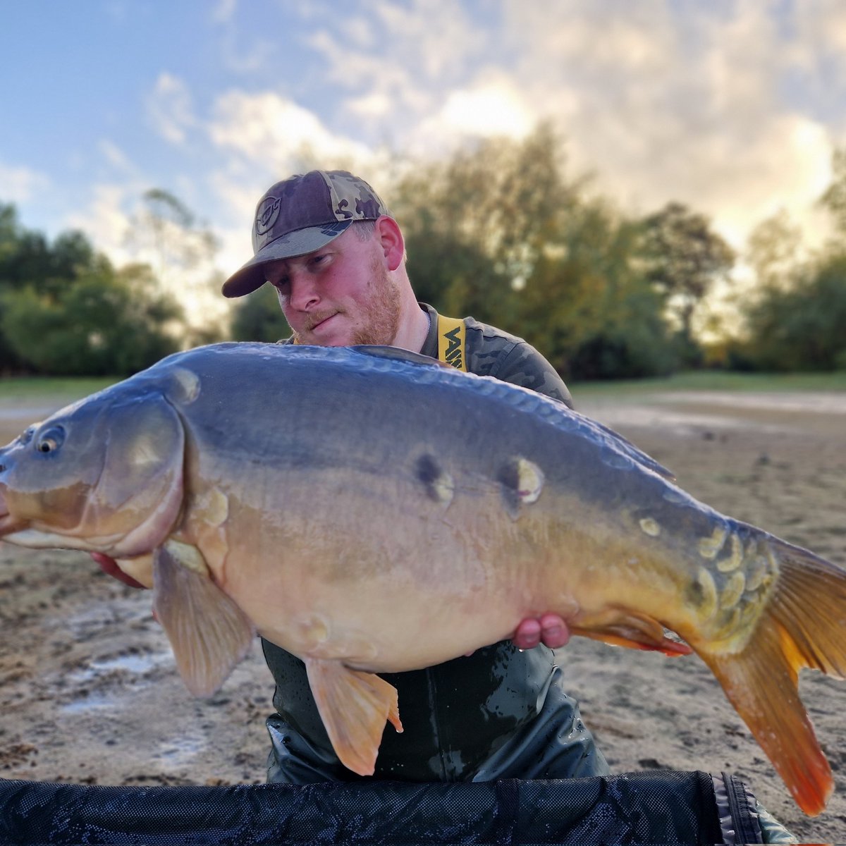 DarrenBown2's tweet photo. Another Naseby beauty. Caught on a banalmond pop-up over a spread of sw-1 fish stim boilie glugged in the sw-1 liquid. https://t.co/Cux5c5I1sX