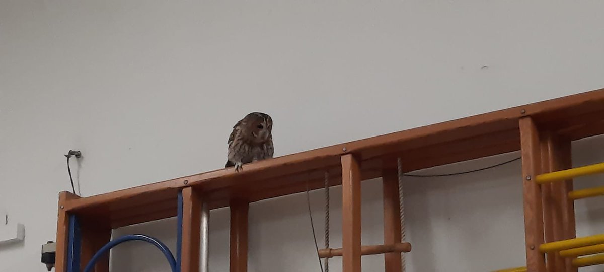 StPetersCPSShoreham tweet media