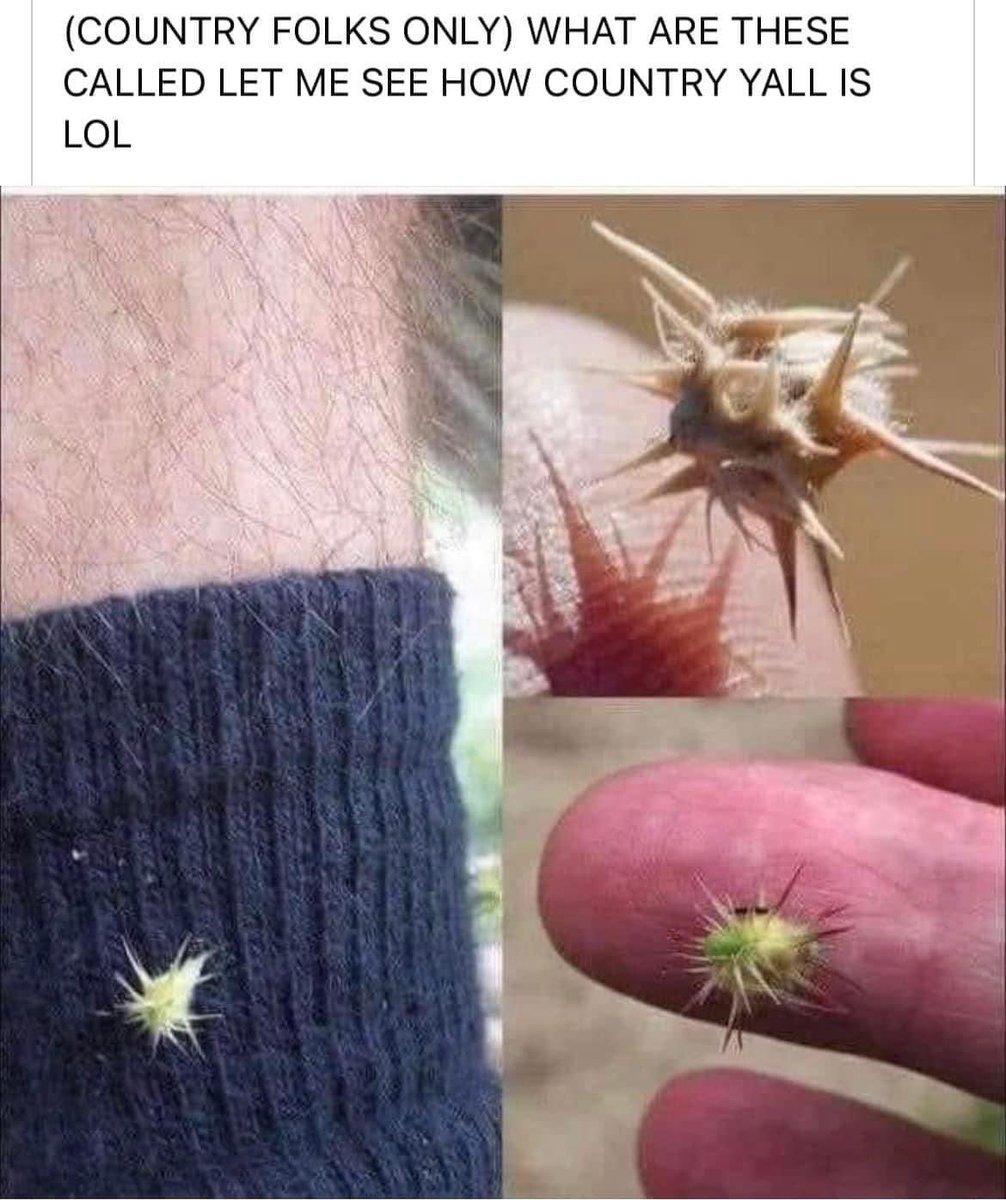 Andre Daughty tweet media