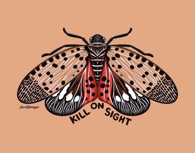 yes, you can squish this bug 