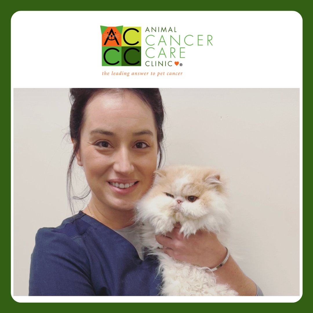 PetCancerCare's tweet photo. Providing Optimal OUTCOMES is the goal of our team of highly-trained oncologists. Our Animal Patients receive kindness and competence in a safe &amp; supportive environment. Dr. Wood gives Ava a comforting embrace before her treatment for fibrosarcoma at our Orlando hospital. https://t.co/0xNNoFhAQn