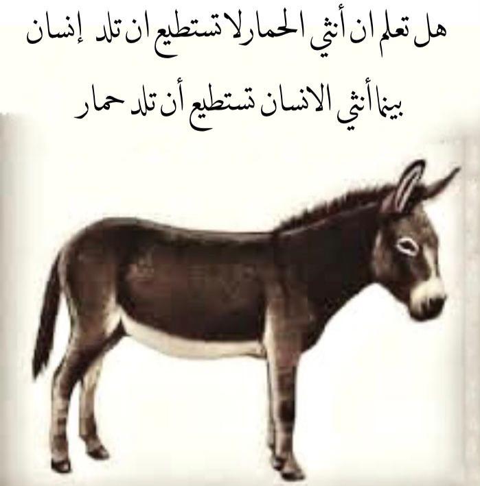 sabe3alghab's tweet photo. هيك رامي https://t.co/NXEo3wHoCh