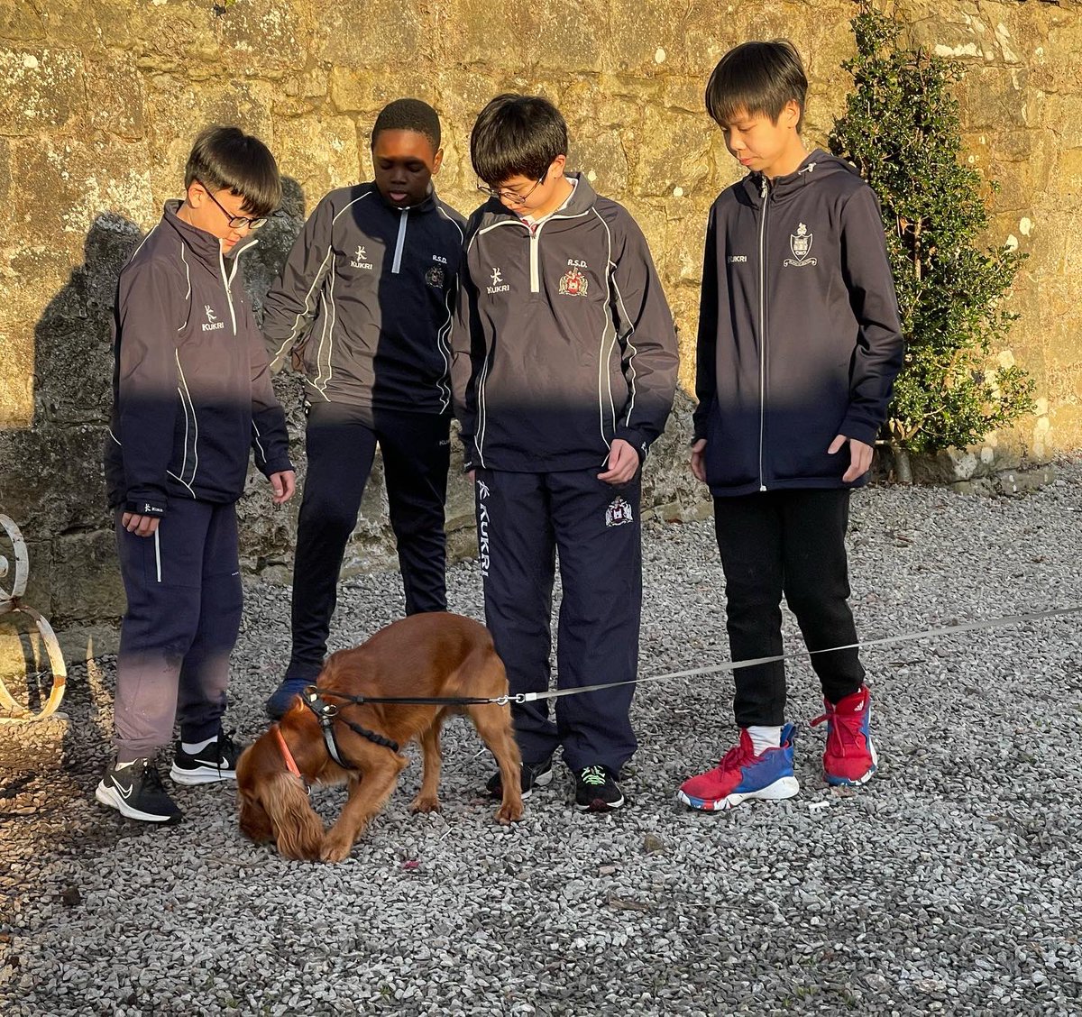 RsdBoarding's tweet photo. 𝗣𝗟𝗔𝗬𝗧𝗜𝗠𝗘 𝗪𝗜𝗧𝗛 𝗕𝗔𝗦𝗘𝗟 🦮🐾💙🥳

#boardingschool #iloveboarding #rsd #royalschooldungannon #ourbrilliantjourney #funwithfriends #northernireland #wearefamily #boardingdog #basel https://t.co/Jkg8ALZzi4