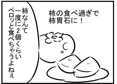 ブログ更新!『柿の食べ過ぎで手術!?』 ⇒ 