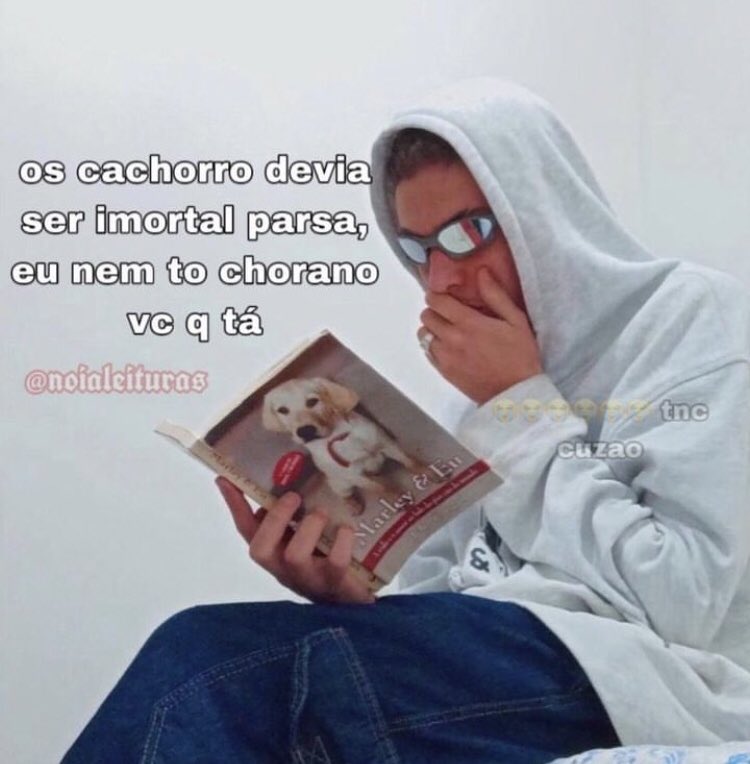 Noia Leituras (@noialeituras) on Twitter photo 
