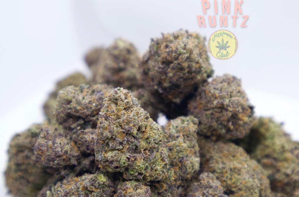 rushgreen15's tweet photo. !! New Drop This Week!!
Follow me on Instagram: @marijuanaclub.916
Text me: 916-519-9848
Follow me on Twitter: @rushgreen15
Follow my YouTube Page: marijuana club 916 go to my website @ https://t.co/rvvj9Fms8p
Join Telegram https://t.co/Ycalvl6N5I https://t.co/0isPhSDgBI