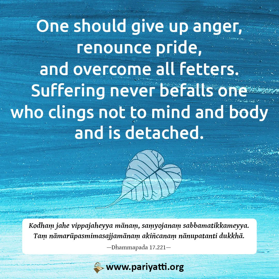 pariyatti's tweet photo. Dhammapada 17.221
The Dhammapada: in print, eBook, free PDF, pocket version. π https://t.co/ktYaY4c033
Daily Words of the Buddha: RSS feed, email, App.
π https://t.co/FghoDpVYg6
#Buddha #Insight #NoblePath #DailyInspiration #DailyWords #DWOB #Pariyatti #detached https://t.co/3C4tETMwNu