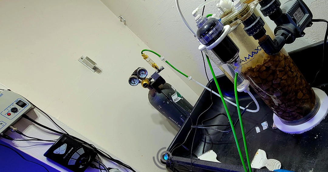 Human Potential Labs tweet media
